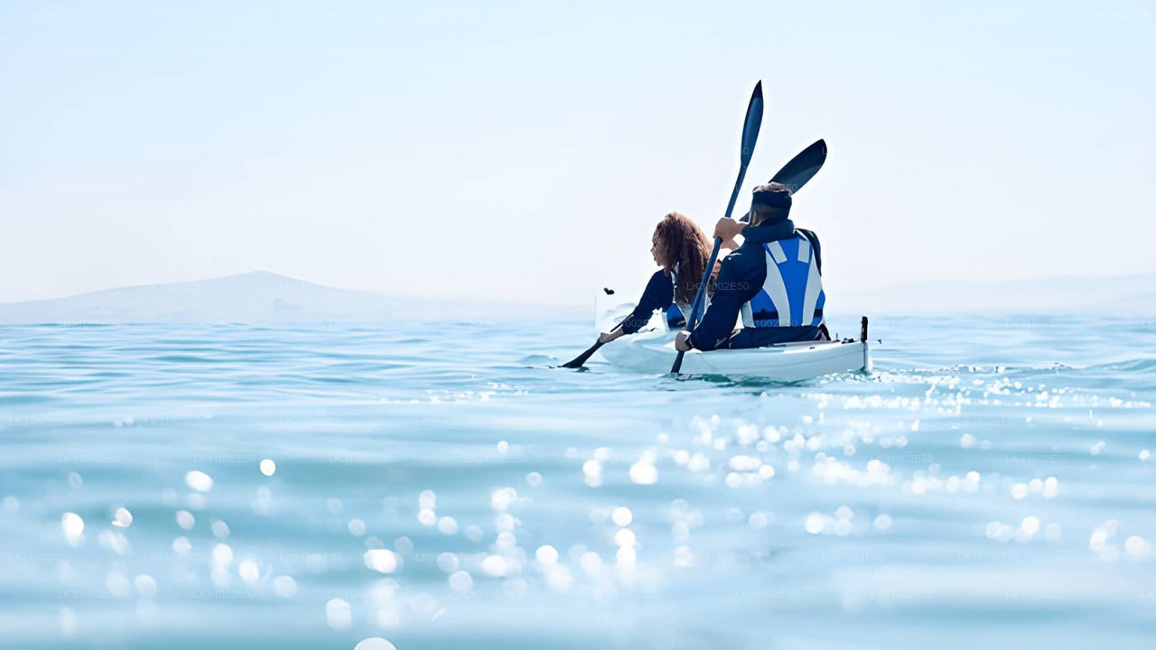 Lagoon Kayaking from Mawella