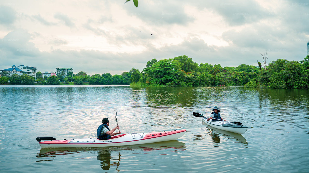 Two people kayaking on a calm lake with trees and buildings in the background.
