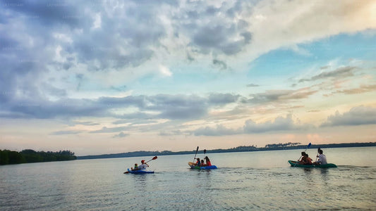 नेगोम्बो से लैगून कयाकिंग टूर