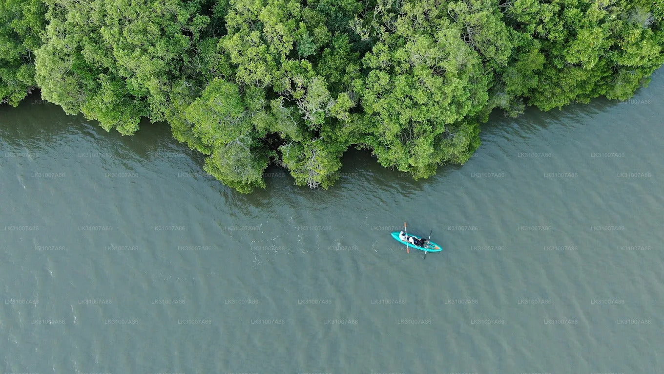 Koggala Lake Kayaking