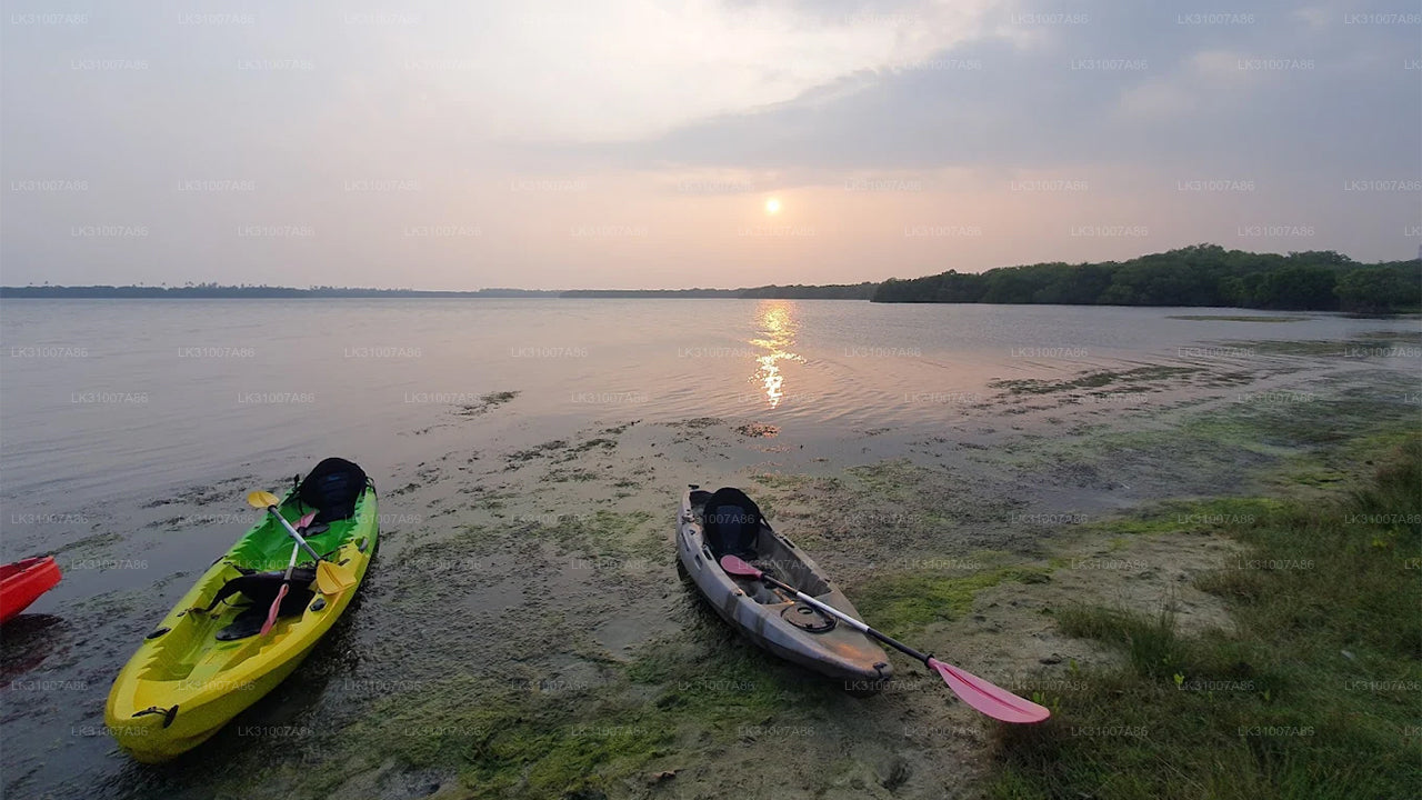 Koggala Lake Kayaking