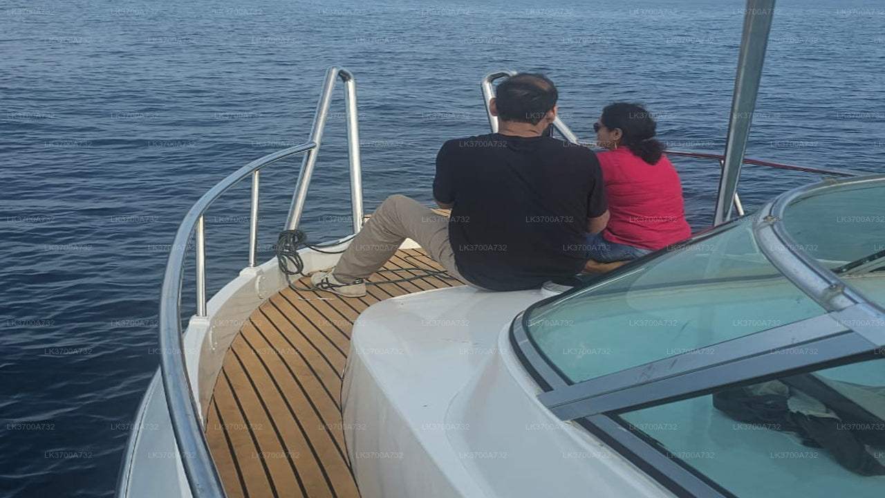 मिरिसा से लक्जरी स्पीडबोट द्वारा निजी व्हेल दर्शन यात्रा