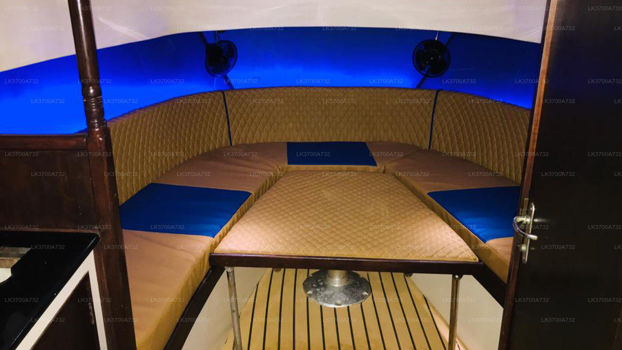 मिरिसा से लक्जरी स्पीडबोट द्वारा निजी व्हेल दर्शन यात्रा