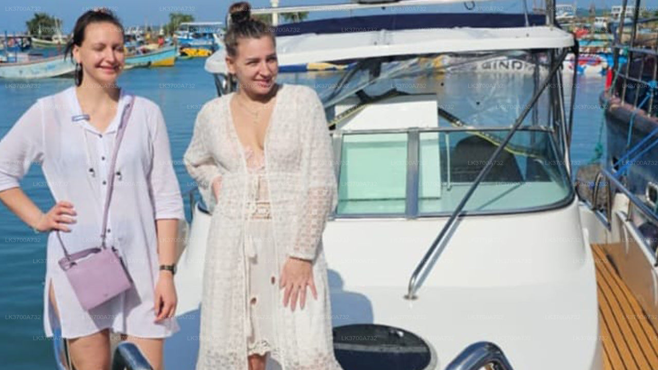 मिरिसा से लक्जरी स्पीडबोट द्वारा निजी व्हेल दर्शन यात्रा