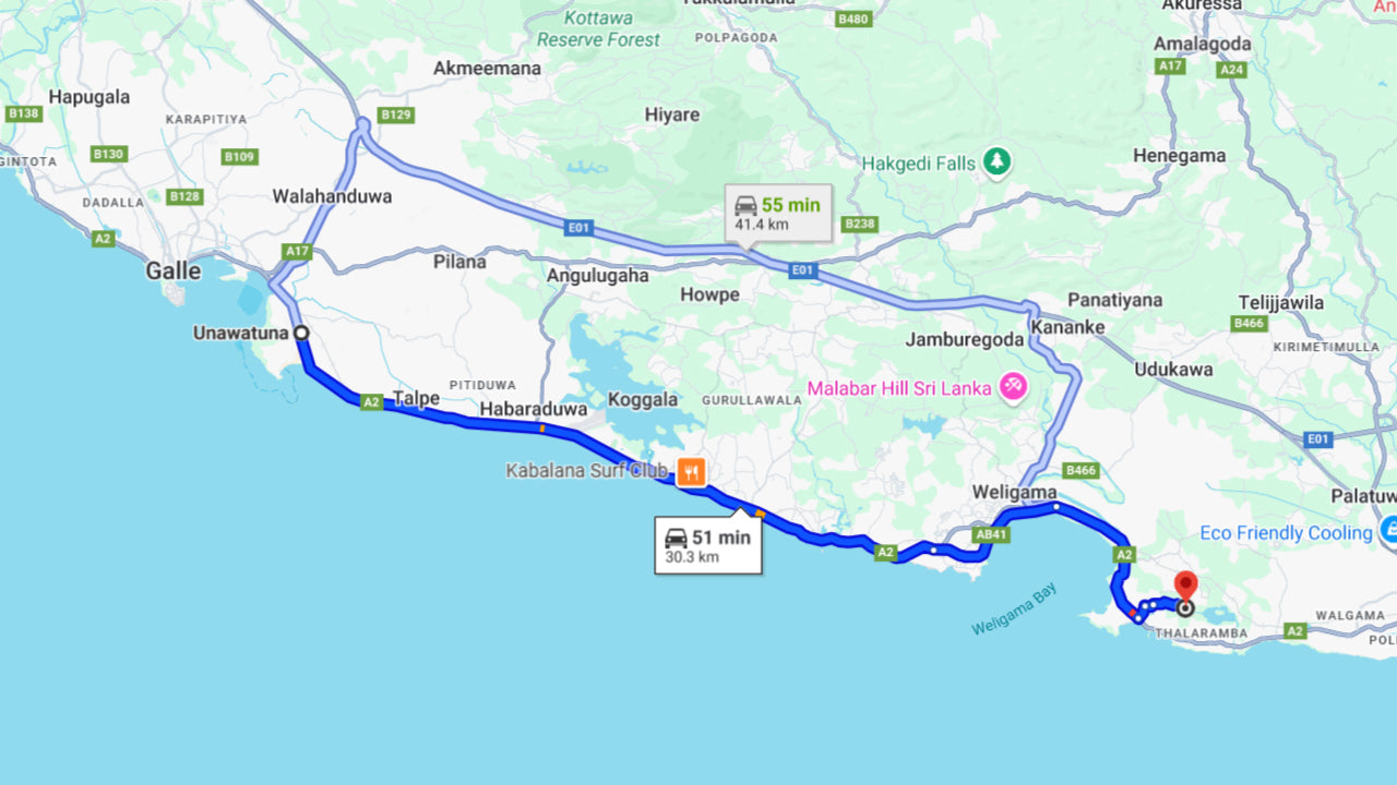  बोट पर उनावटुना से व्हेल देखना  उनावटुना से शेयशेयर्डर्ड बोट पर ...