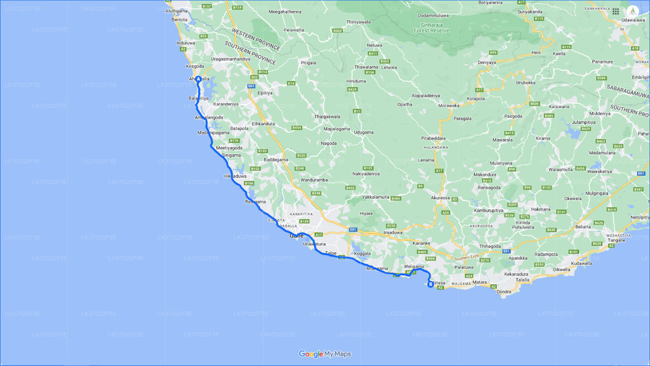 शेयर्ड बोट पर अहुंगल्ला से व्हेल देखना  अहुंगल्ला से शेयर्ड बोट पर ...