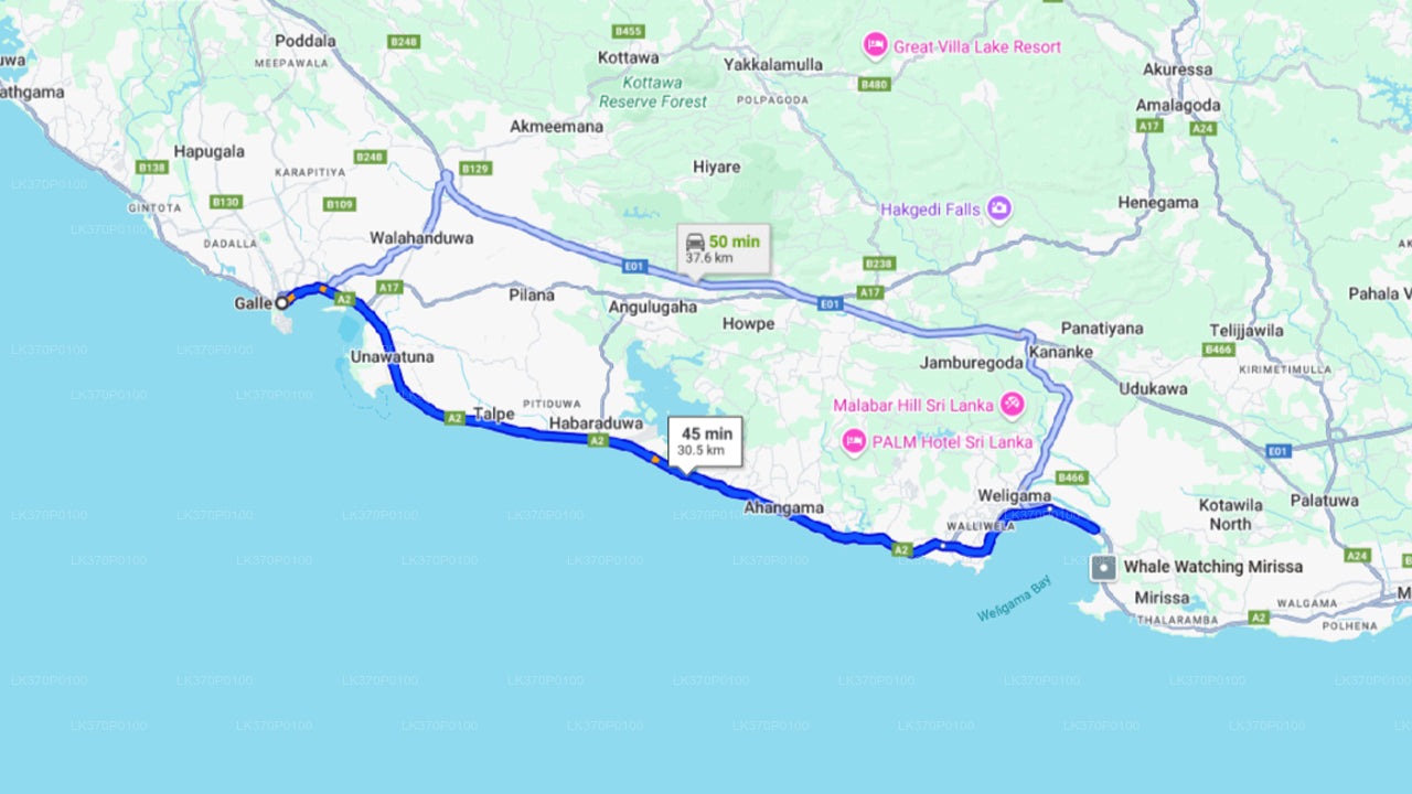 साझा नाव पर हिरिकेतिया से व्हेल देखना