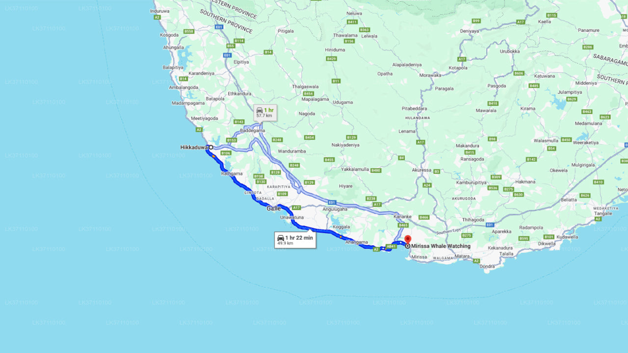 शेयर्ड बोट पर हिक्काडुवा से व्हेल देखना  हिक्काडुवा से शेयर्ड बोट पर ...