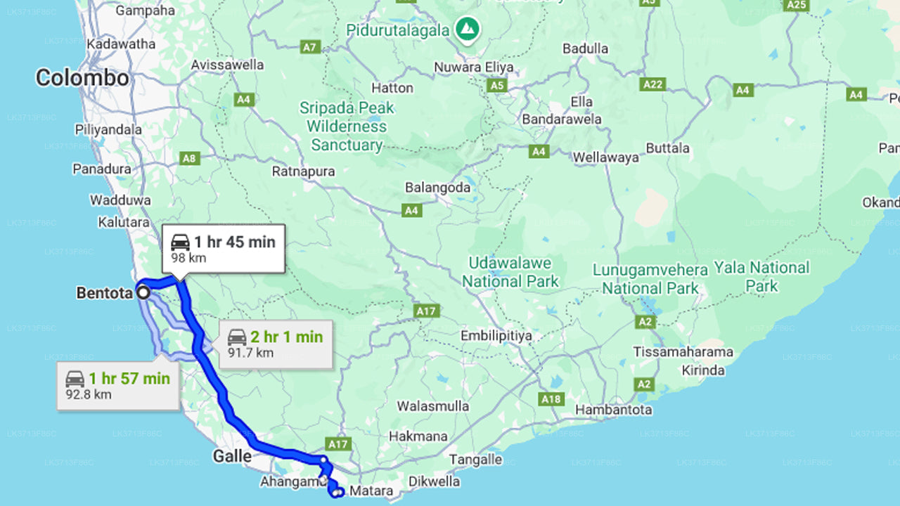 बेंटोटा से शेयर्ड बोट पर व्हेल देखना  बे ...