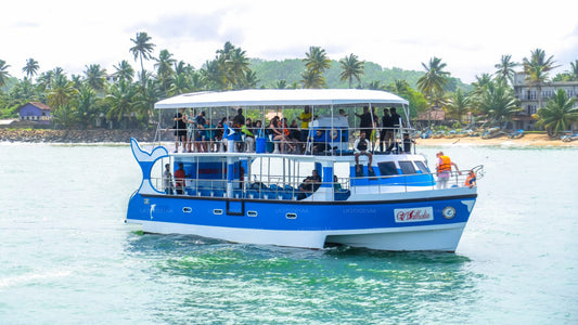 मिरिसा से शेयर्ड बोट पर व्हेल देखना  मि ...