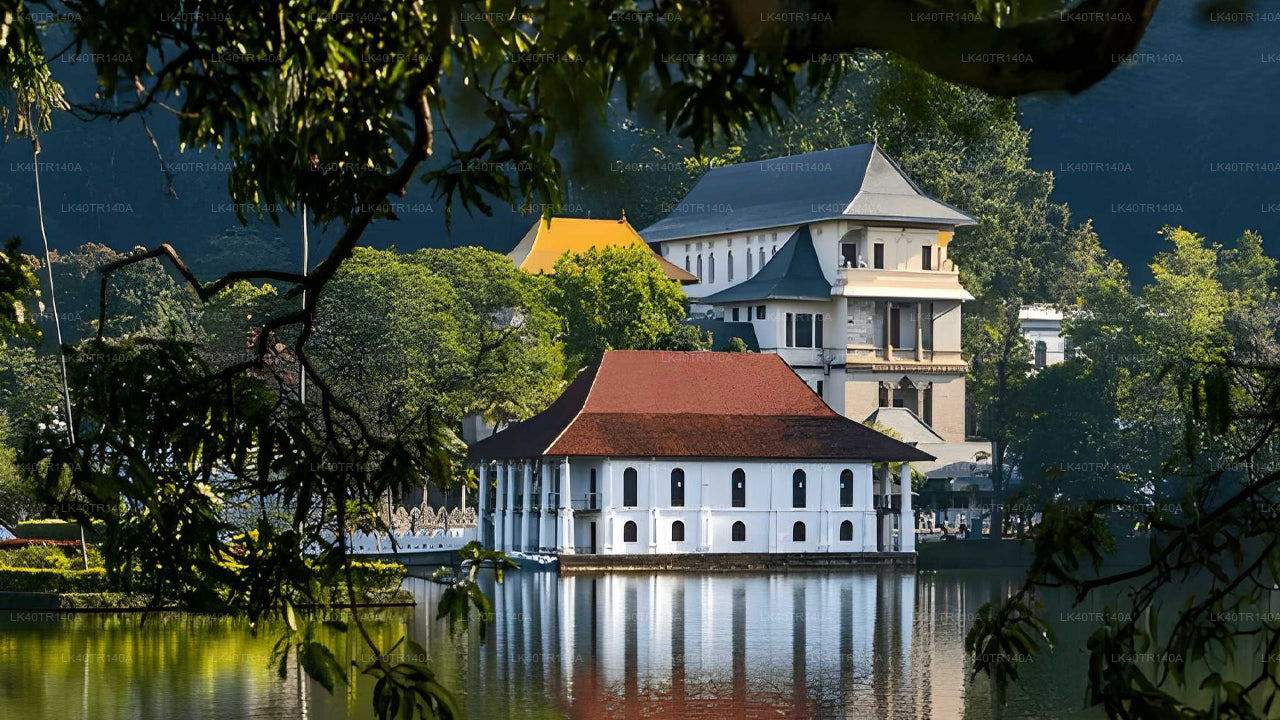 एला से कैंडी: ट्रेन और कार या वैन से एक सुंदर यात्रा