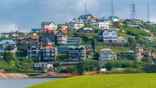 Hillside with houses and a lake in the foreground