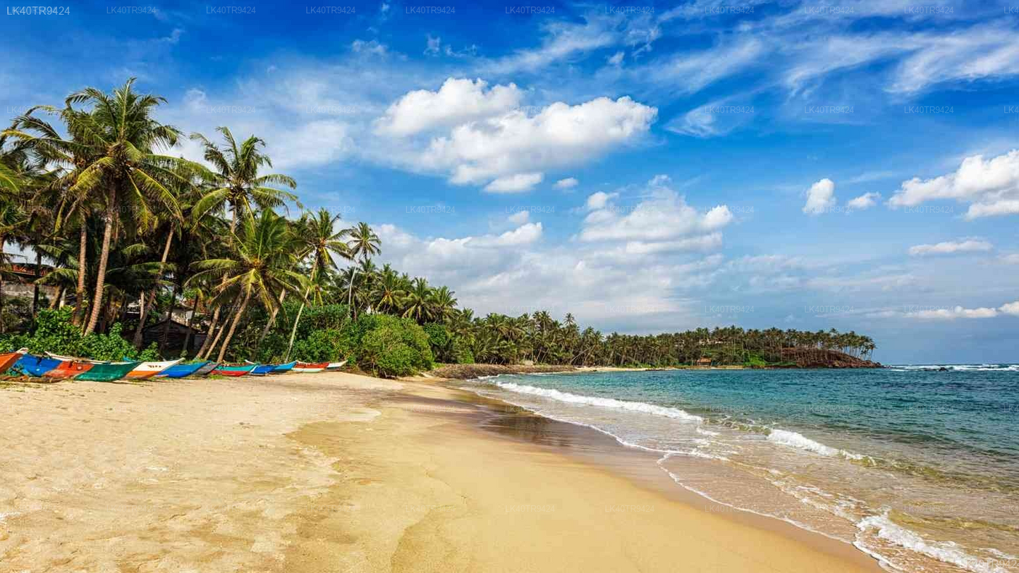 Coastal Transfer from Colombo to Mirissa with Sightseeing Stops