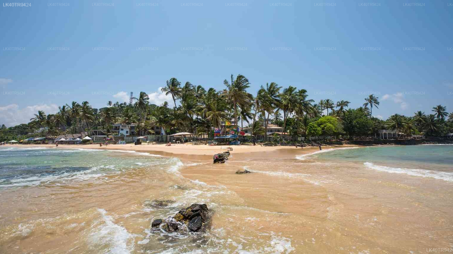 Coastal Transfer from Colombo to Mirissa with Sightseeing Stops