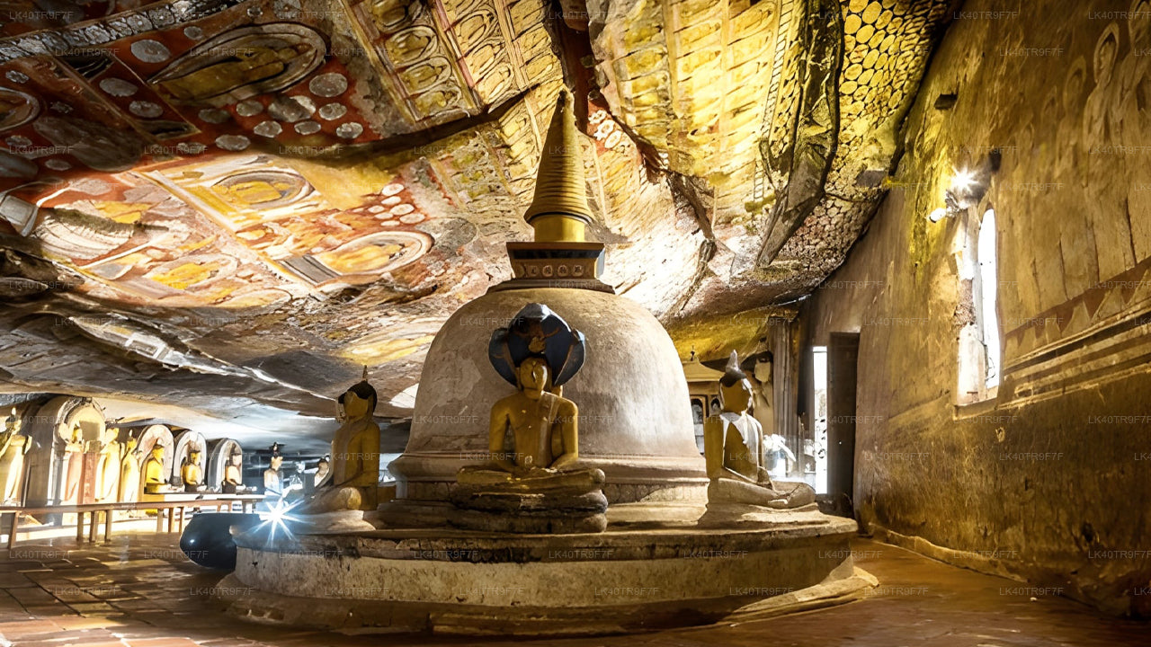 कोलंबो से सिगिरिया तक निजी स्थानांतरण, दर्शनीय स्थलों की यात्रा के साथ