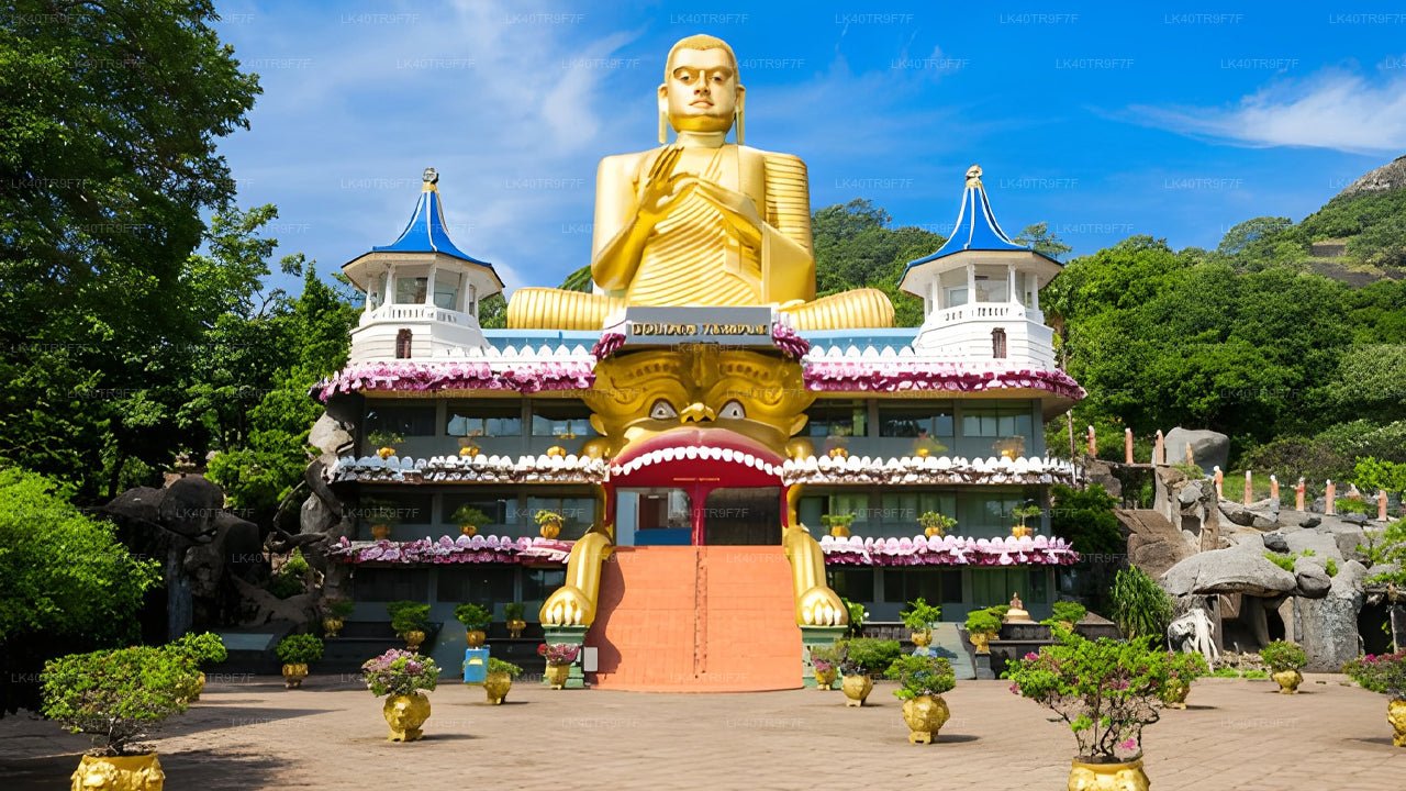 कोलंबो से सिगिरिया तक निजी स्थानांतरण, दर्शनीय स्थलों की यात्रा के साथ