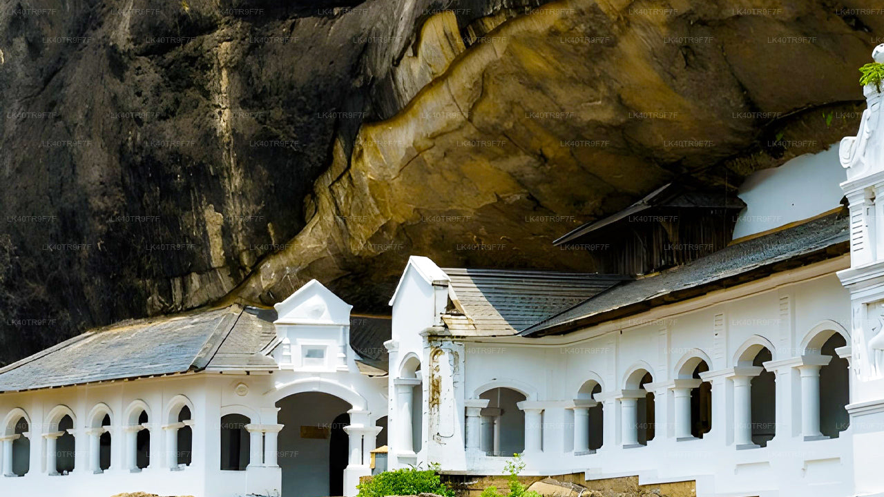 कोलंबो से सिगिरिया तक निजी स्थानांतरण, दर्शनीय स्थलों की यात्रा के साथ