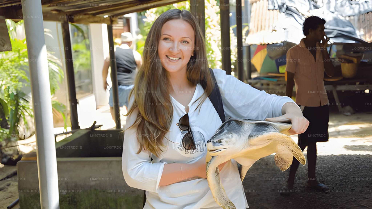 नेगोम्बो से हिरिकेतिया तक प्राइवेट ट्रांसफर, घूमने-फिरने के स्टॉप के साथ