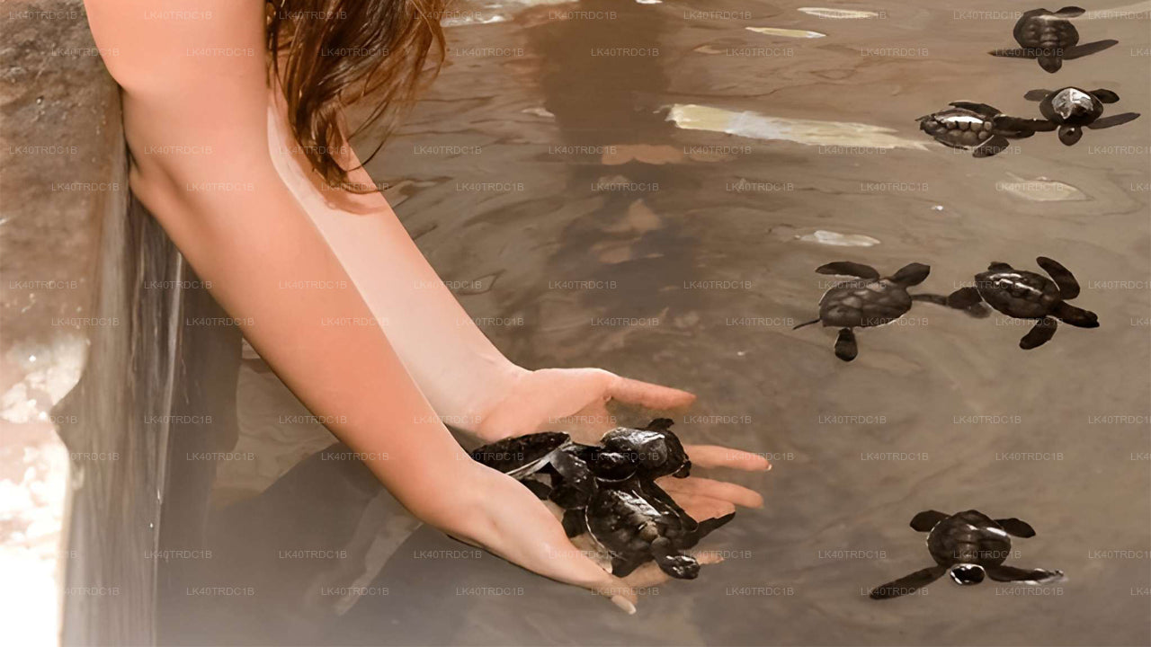 नेगोम्बो से हिरिकेतिया तक प्राइवेट ट्रांसफर, घूमने-फिरने के स्टॉप के साथ