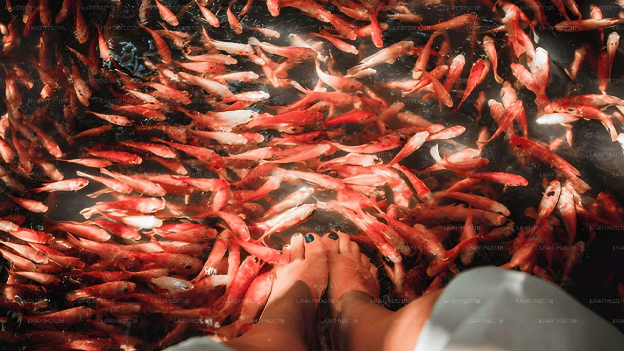 नेगोम्बो से हिरिकेतिया तक प्राइवेट ट्रांसफर, घूमने-फिरने के स्टॉप के साथ