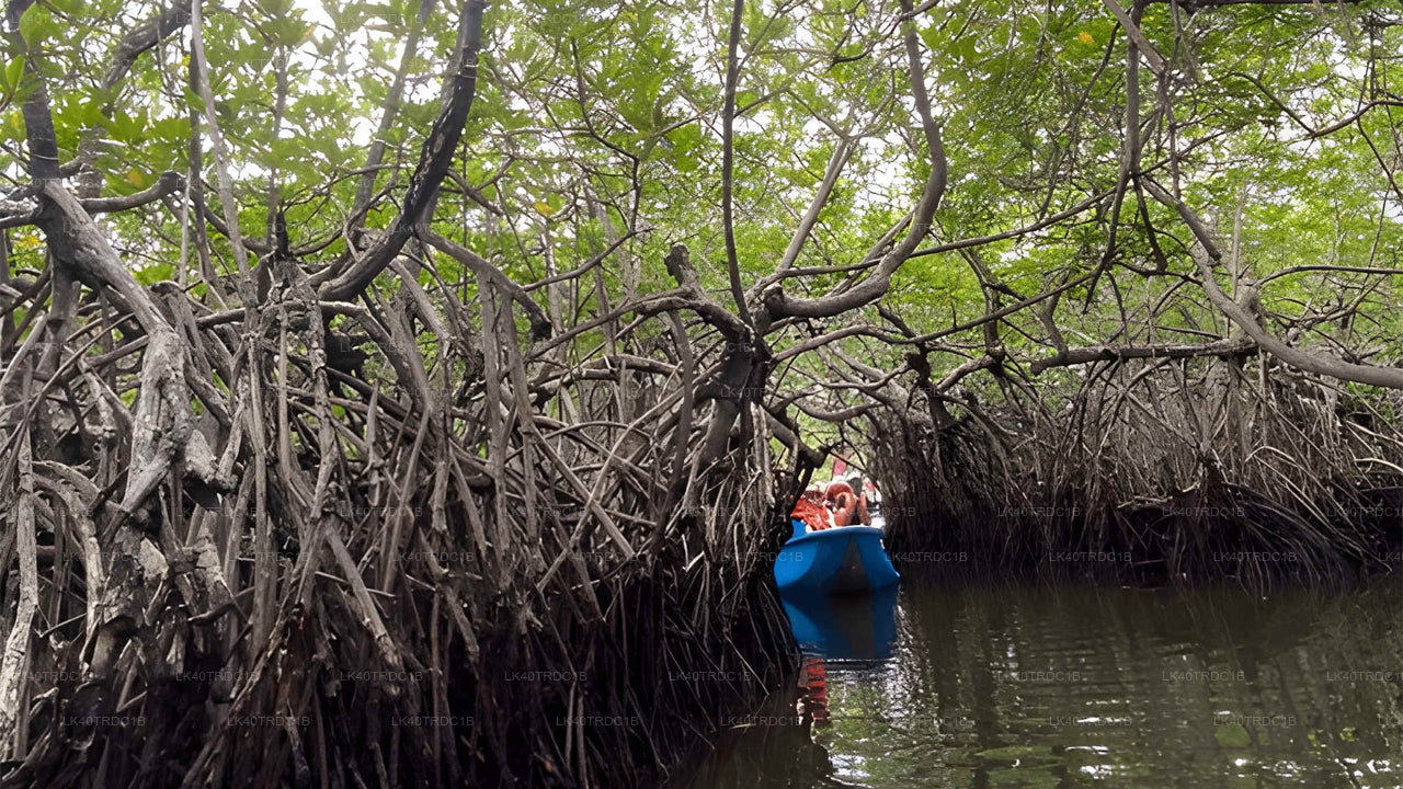 नेगोम्बो से हिरिकेतिया तक प्राइवेट ट्रांसफर, घूमने-फिरने के स्टॉप के साथ