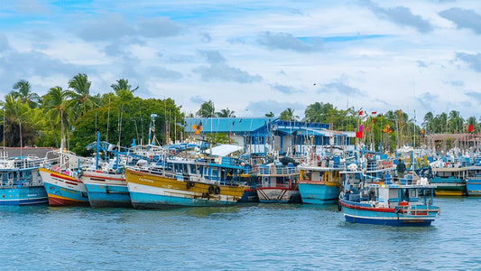 नेगोम्बो से हिरिकेतिया तक प्राइवेट ट्रांसफर, घूमने-फिरने के स्टॉप के साथ