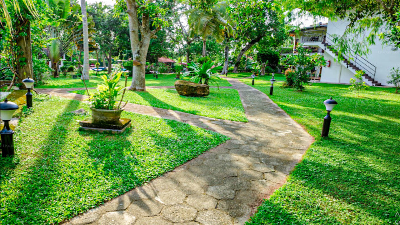 Coral Gardens, Hikkaduwa