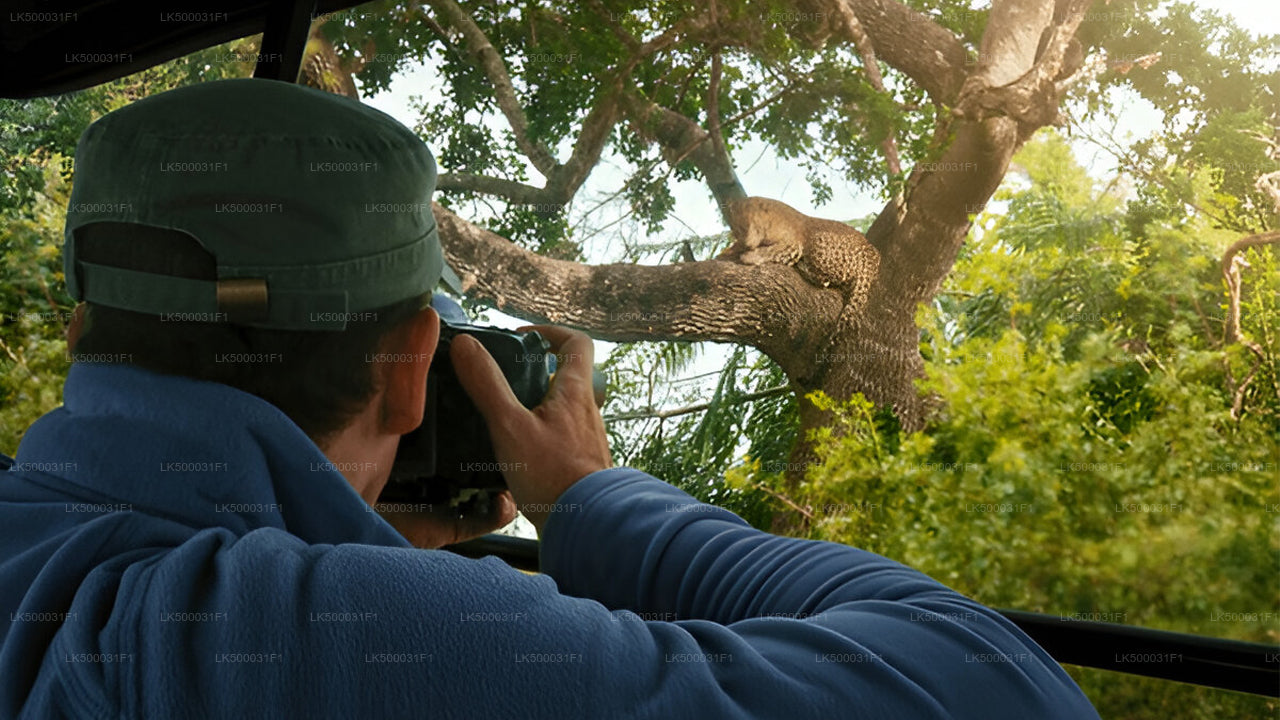Private Tour from Ella to Unawatuna with Yala Safari