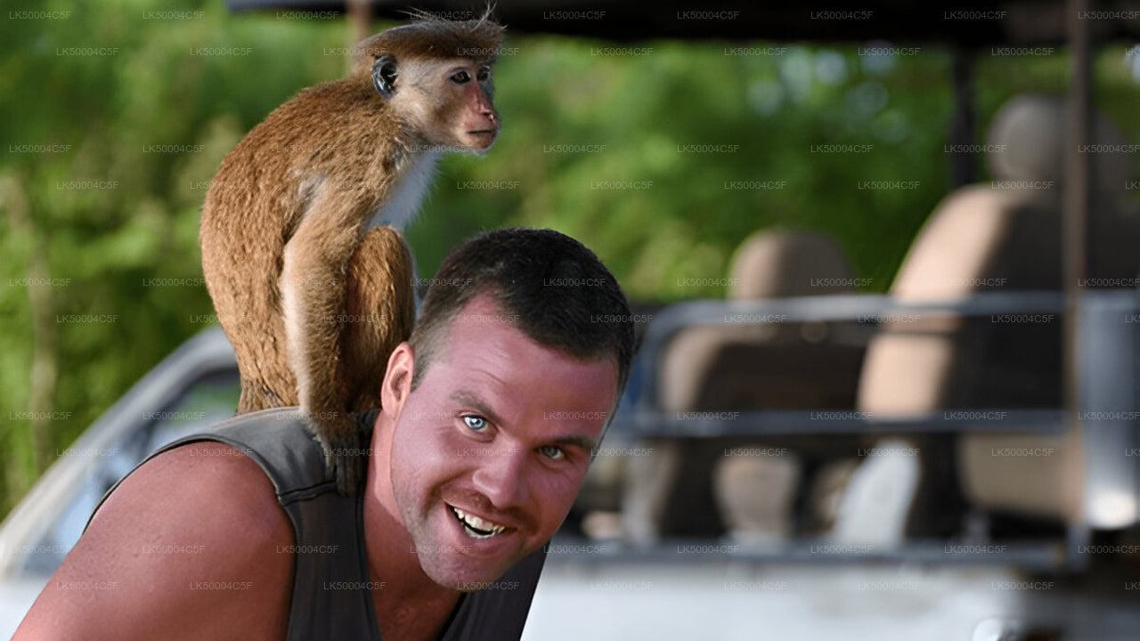 एला से वेलिगामा तक उदावालावे सफारी के साथ प्राइवेट टूर