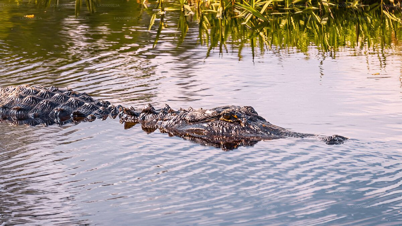 उदावालावे राष्ट्रीय उद्यान प्रवेश टिकट