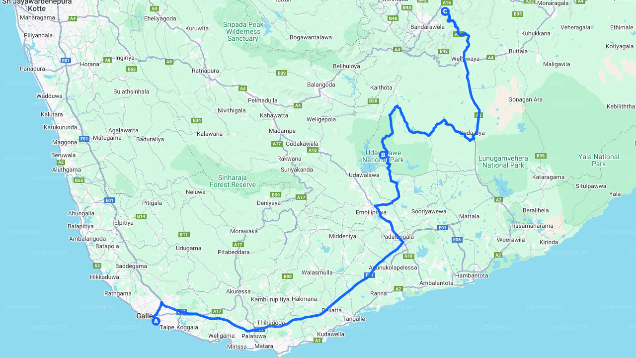 Private Tour from Unawatuna to Ella with Udawalawe Safari