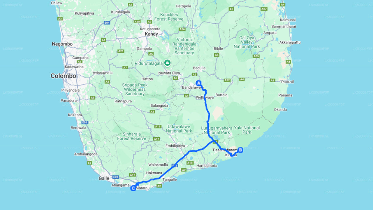 Private Tour from Ella to Mirissa with Yala Safari