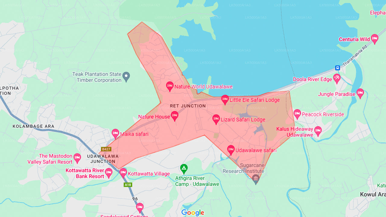 उदावालावे नेशनल पार्क सफारी विद एलिफेंट ट्रांजिट होम विजिट