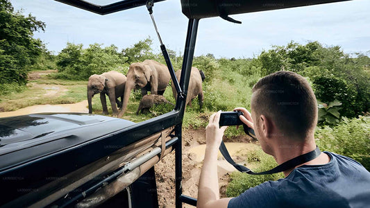 एला से हिरिकेतिया तक उदावालावे सफारी के साथ प्राइवेट टूर