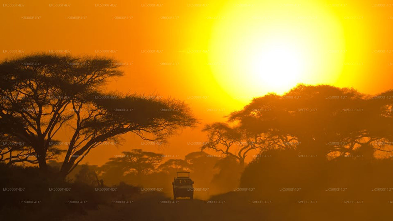 याला सफारी के साथ एला से हिरिकेतिया तक प्राइवेट टूर