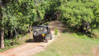 Kaudulla National Park Shared Safari