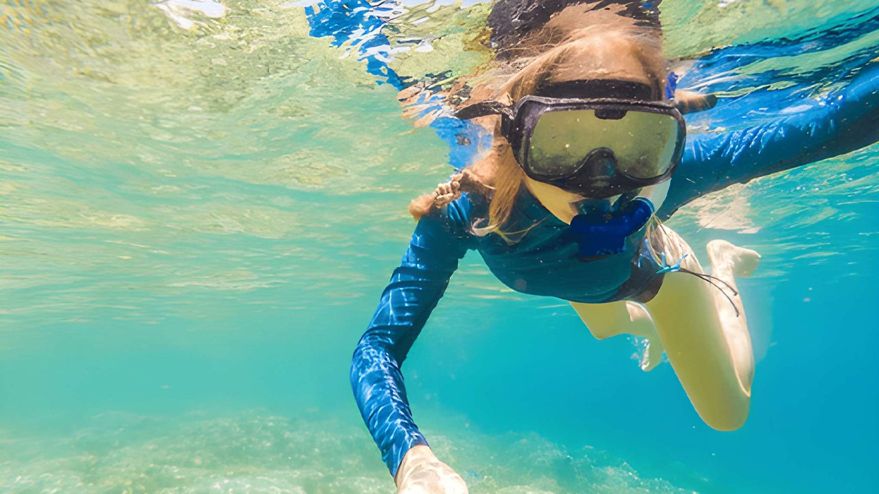 बेंटोटा से समुद्री कछुओं के साथ स्नोर्कलिंग