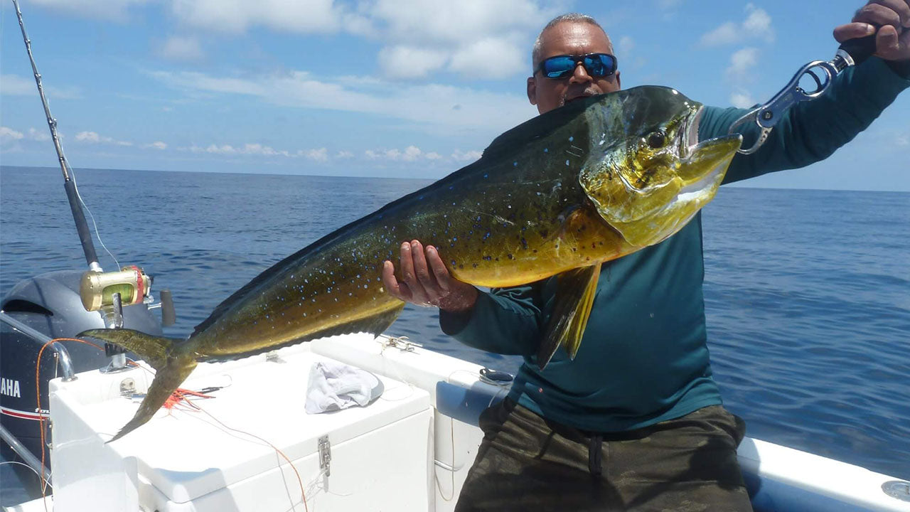 गैले से ट्रॉलर फिशिंग टूर