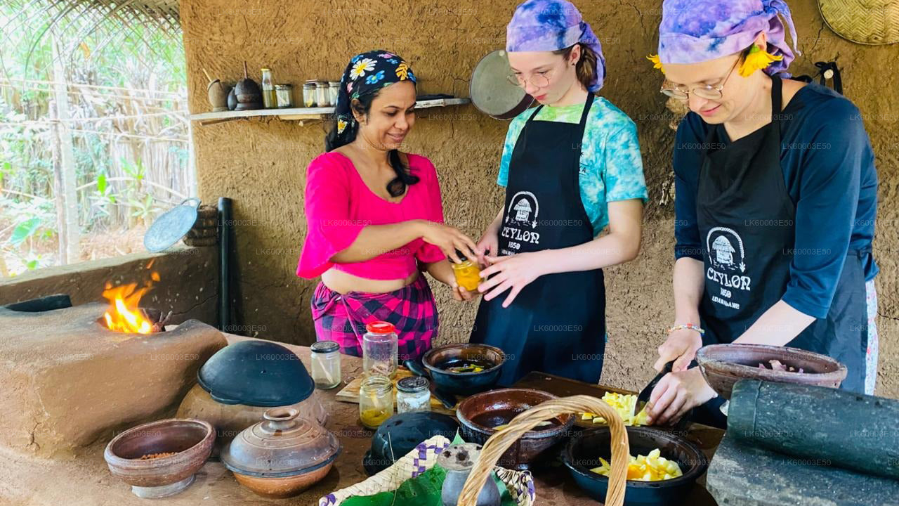 Agriculture, Gem Mine and Village Experience from Udawalawe