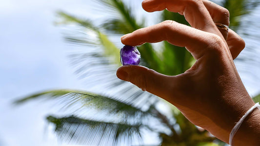 Agriculture, Gem Mine and Village Experience from Udawalawe