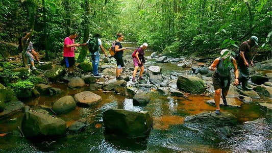 अहंगामा से सिंहराजा रेनफॉरेस्ट डे ट्रिप