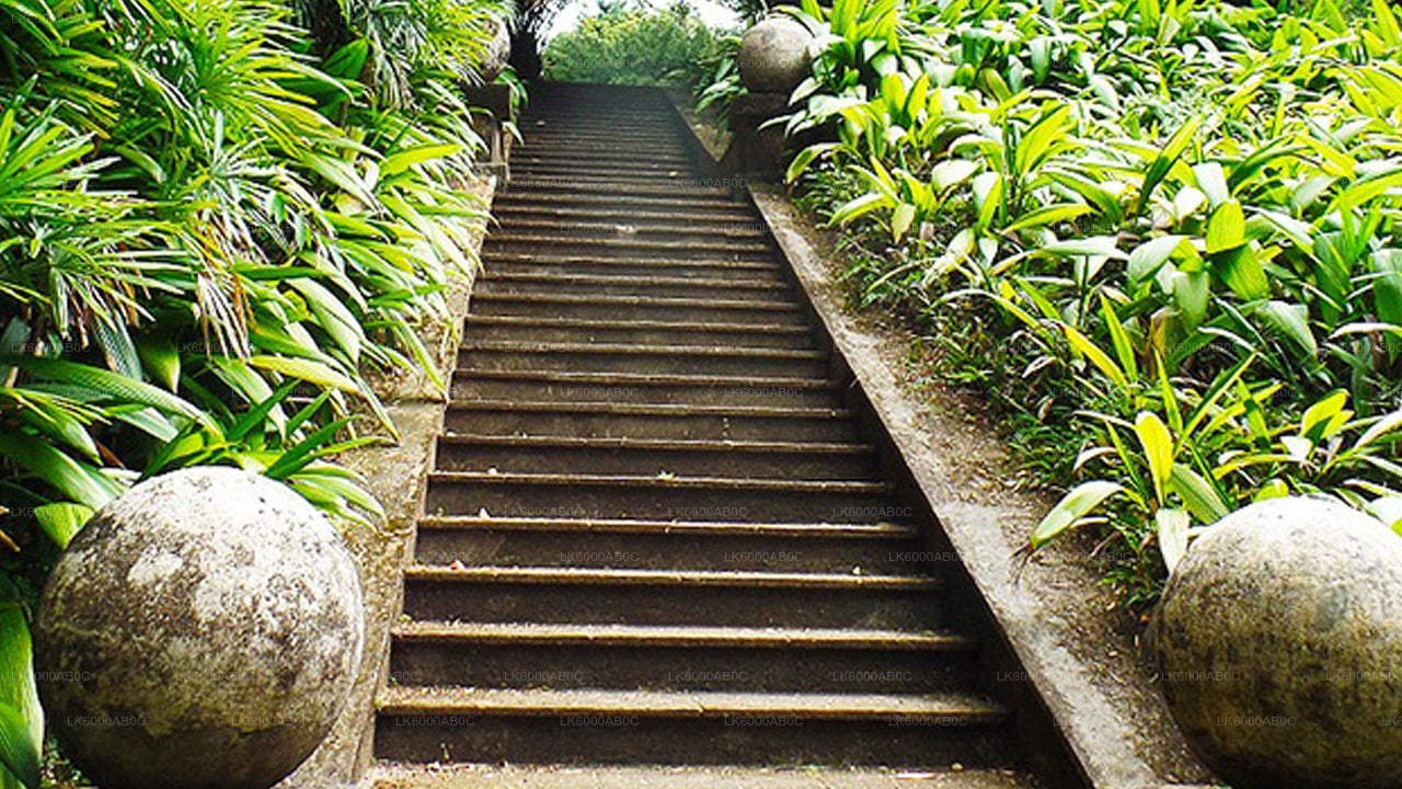 बेरुवाला से बेंटोटा सिटी टूर और गाले