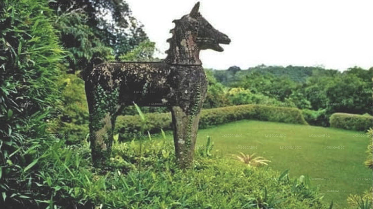 बेरुवाला से बेंटोटा सिटी टूर और गाले