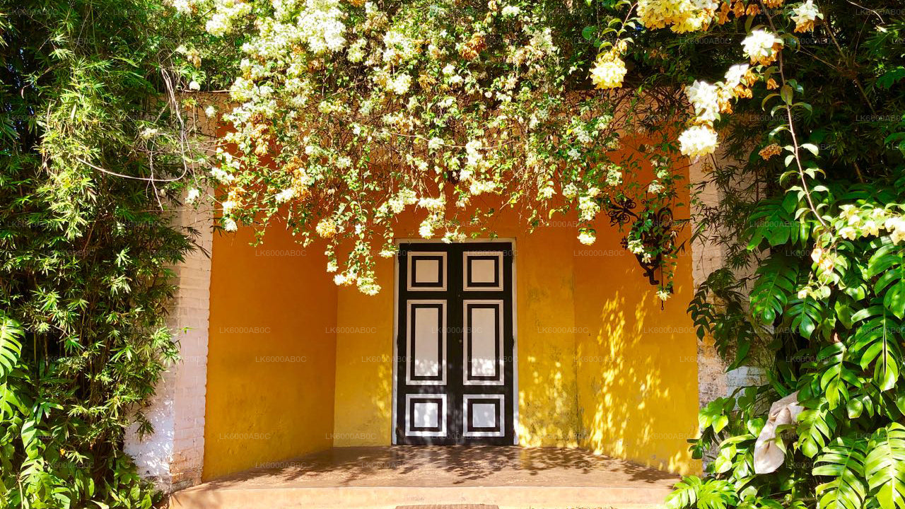 बेरुवाला से बेंटोटा सिटी टूर और गाले