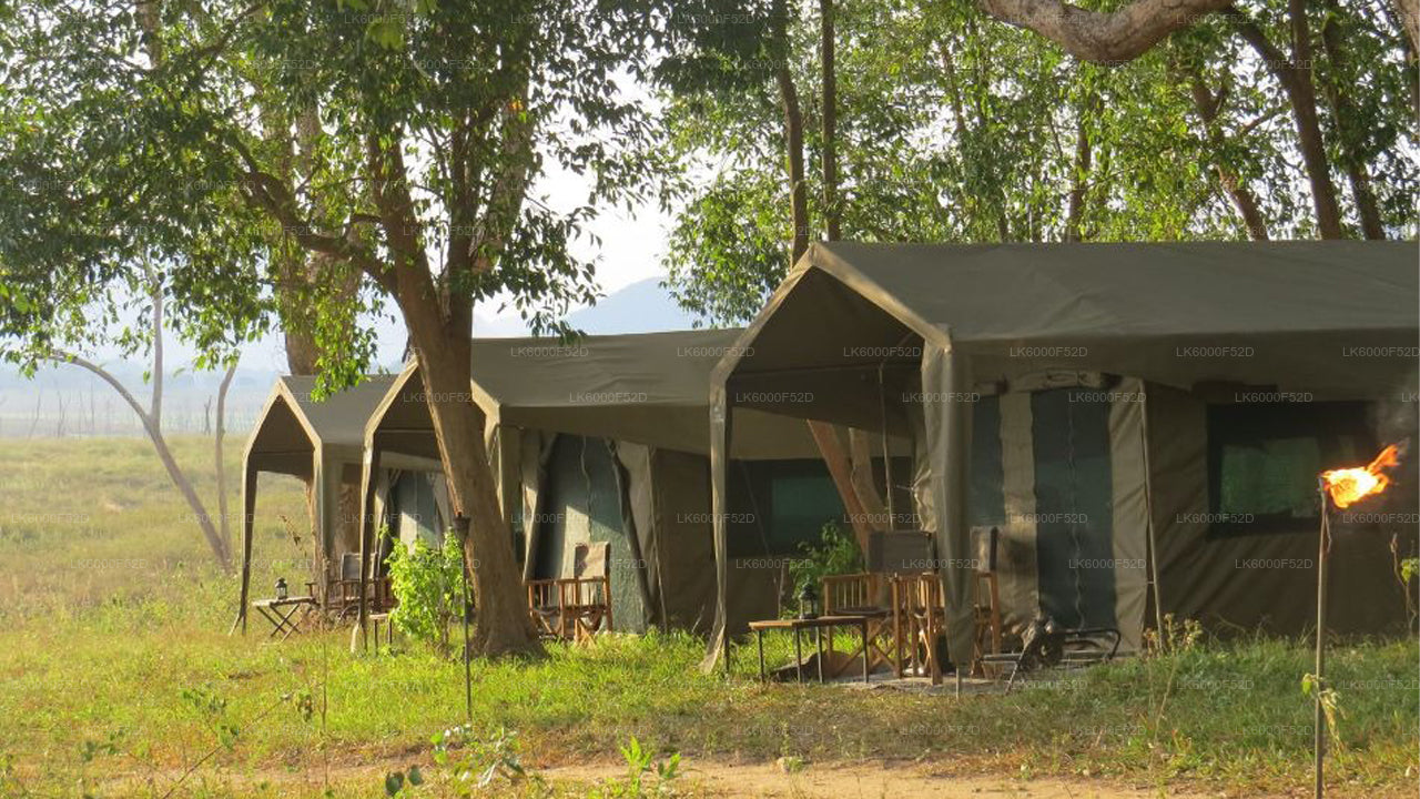 Camping Experience in Gal Oya (3 Days)