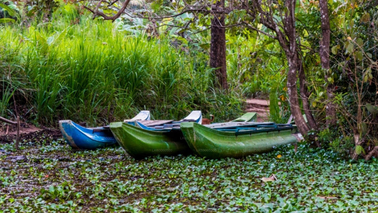 हबराना से हिरीवादुन्ना गांव का दौरा
