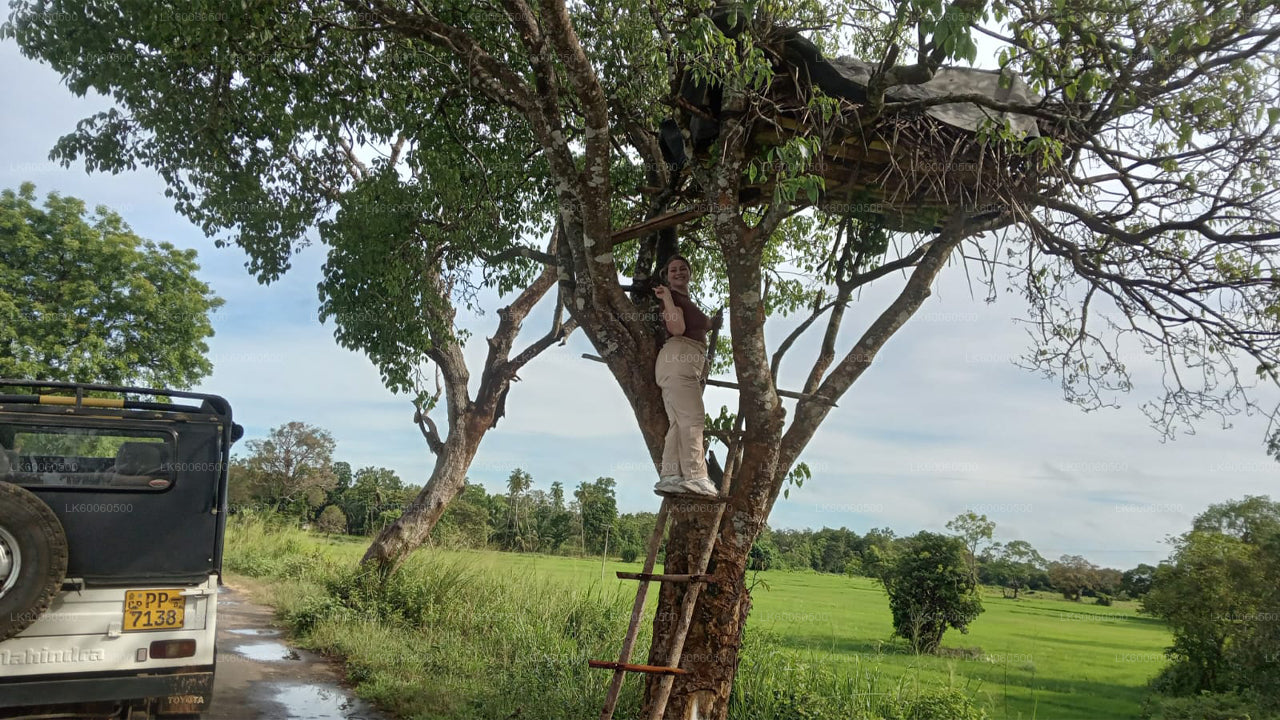 हबराना से हिरीवादुन्ना गांव का दौरा