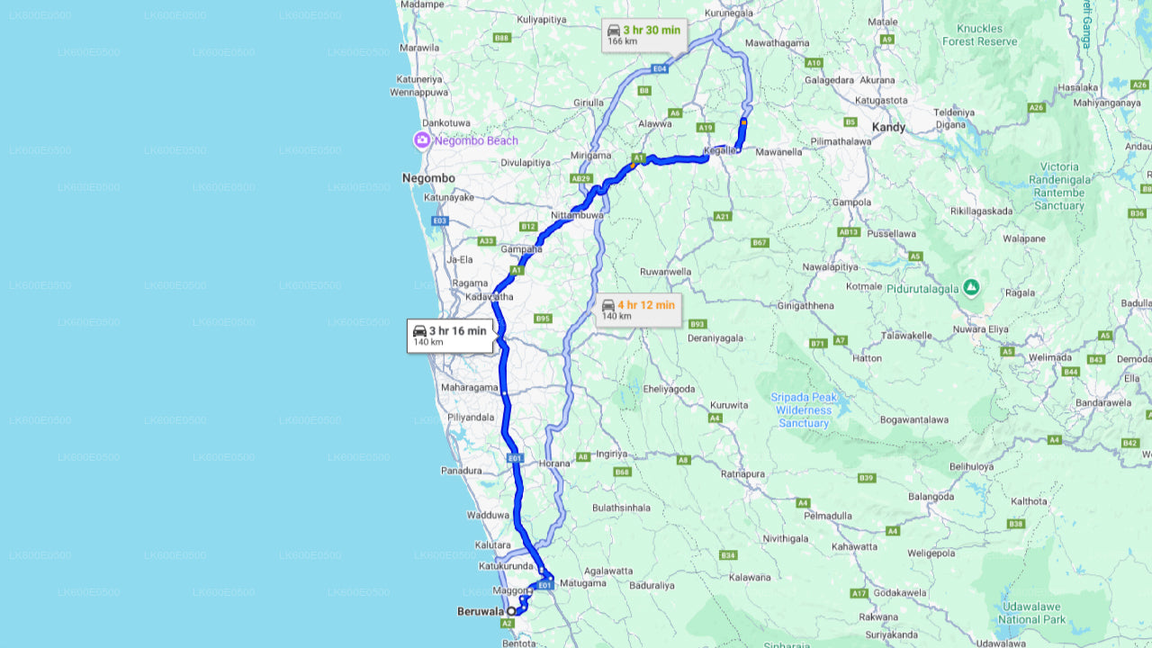 बेरुवाला से पिन्नावाला हाथी अनाथालय