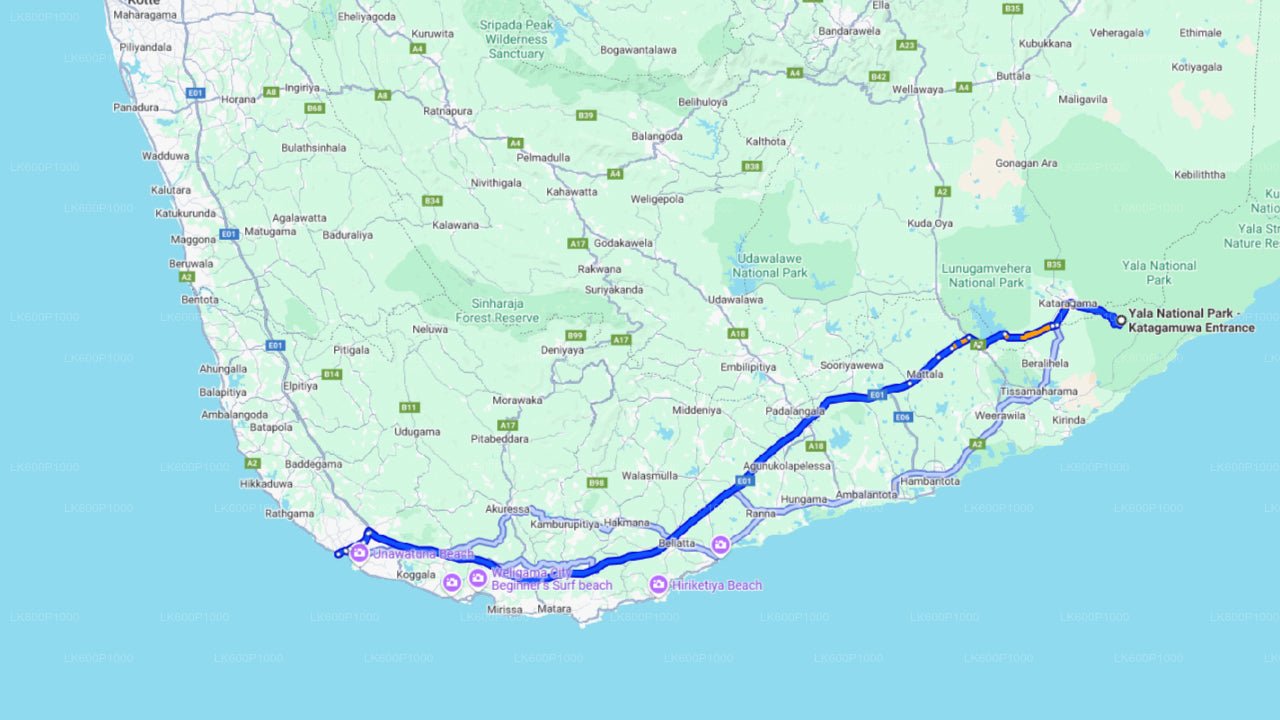 गाले से याला नेशनल पार्क सफारी