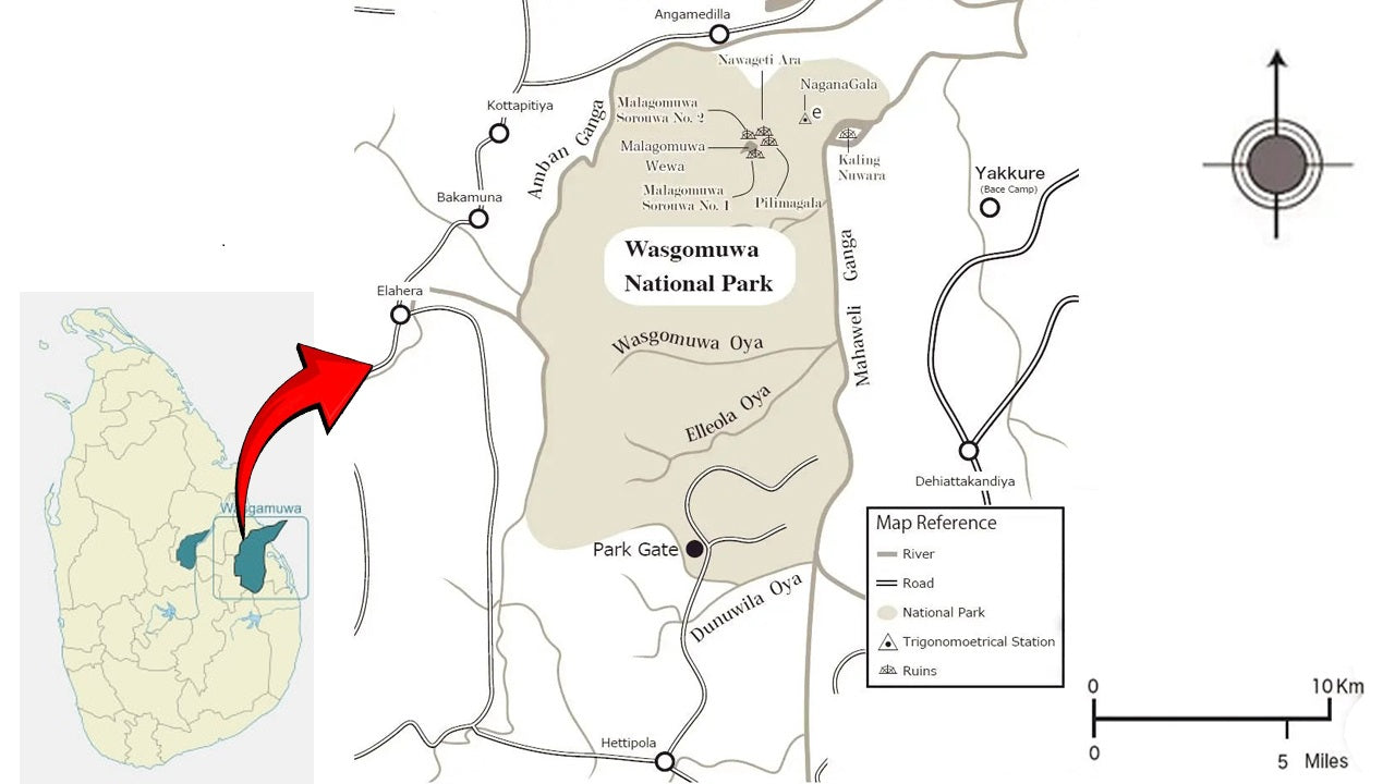 Wasgamuwa National Park Safari from Kandy